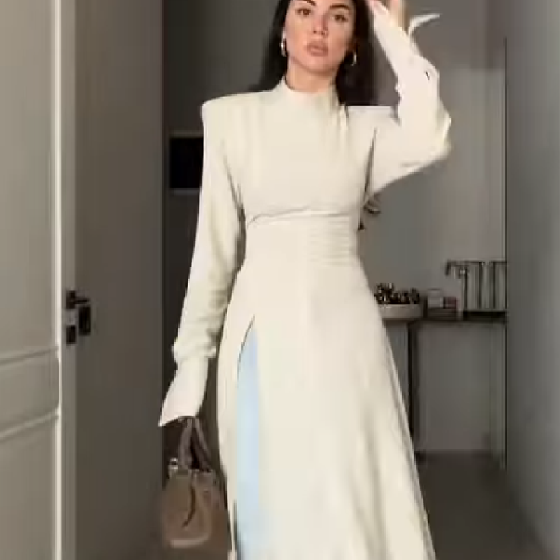Women's Elegant High Neck Long - Women Formal Office Wear Tops review and price