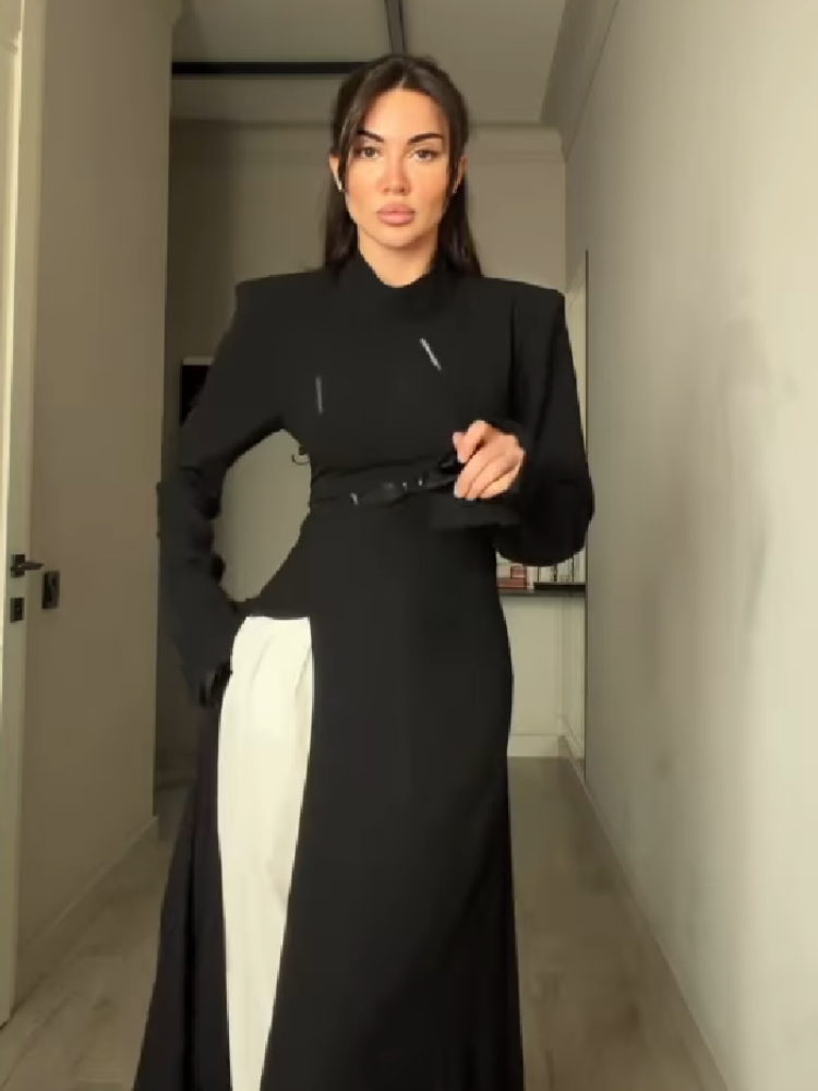 Women's Elegant High Neck Long - Women Formal Office Wear Tops review and price