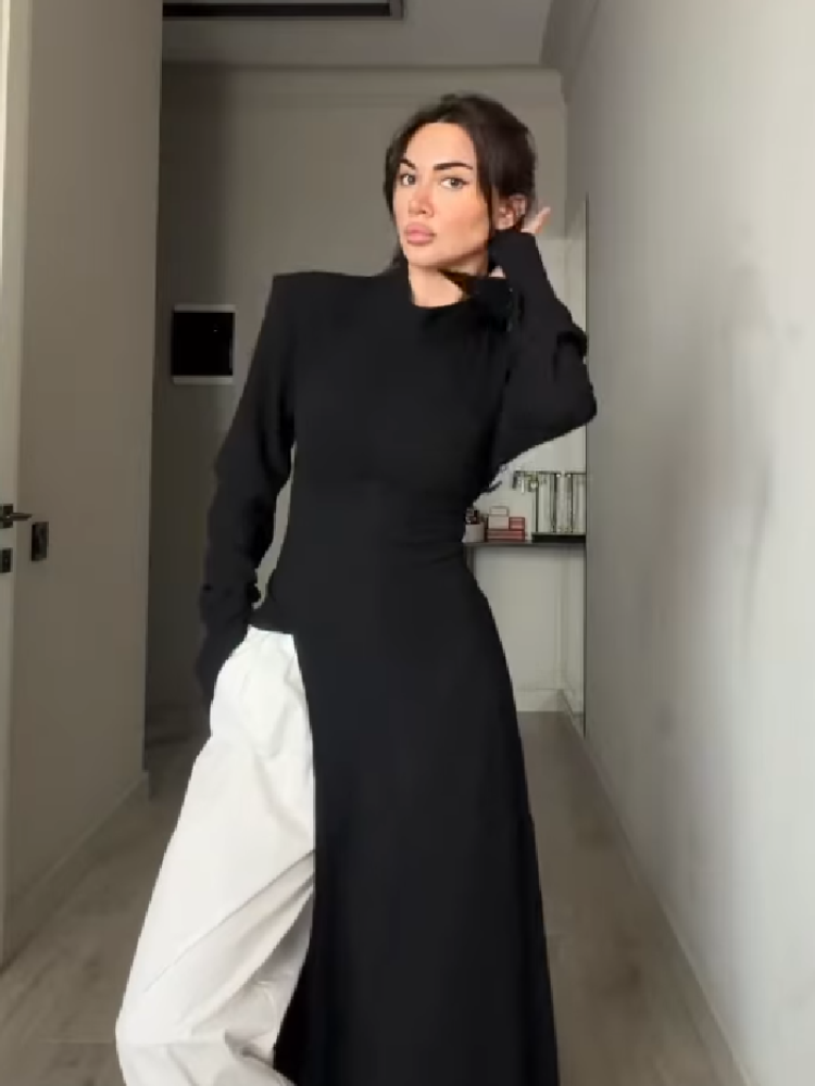 Women's Elegant High Neck Long - Women Formal Office Wear Tops review and price
